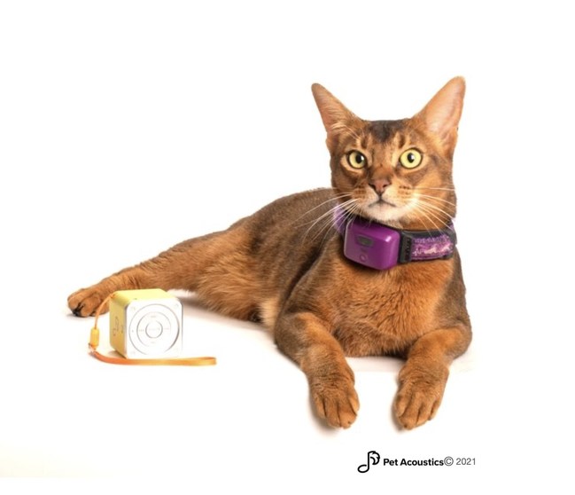 1 New Biometric Study Proves Scientifically Designed Music by Pet Acoustics Calms Cats