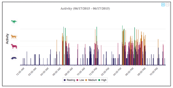 PetPace algorithm produces minute-by-minute activity data as well as periodic analysis