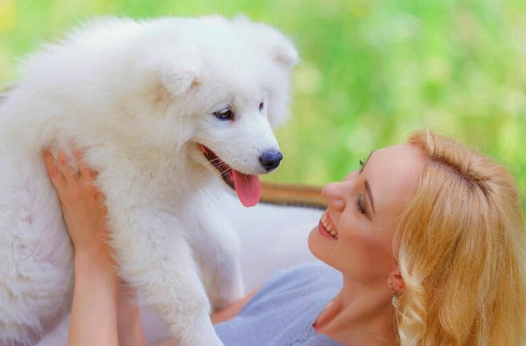 10 CUTE FLUFFY DOGS AND THEIR PAW-FECT PET PARENTS