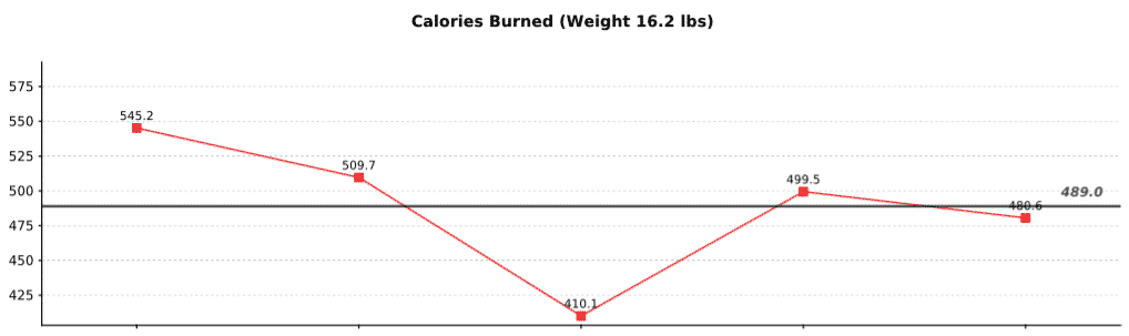 image7 QUANTIFYING ACTIVITY AND CALORIC NEEDS