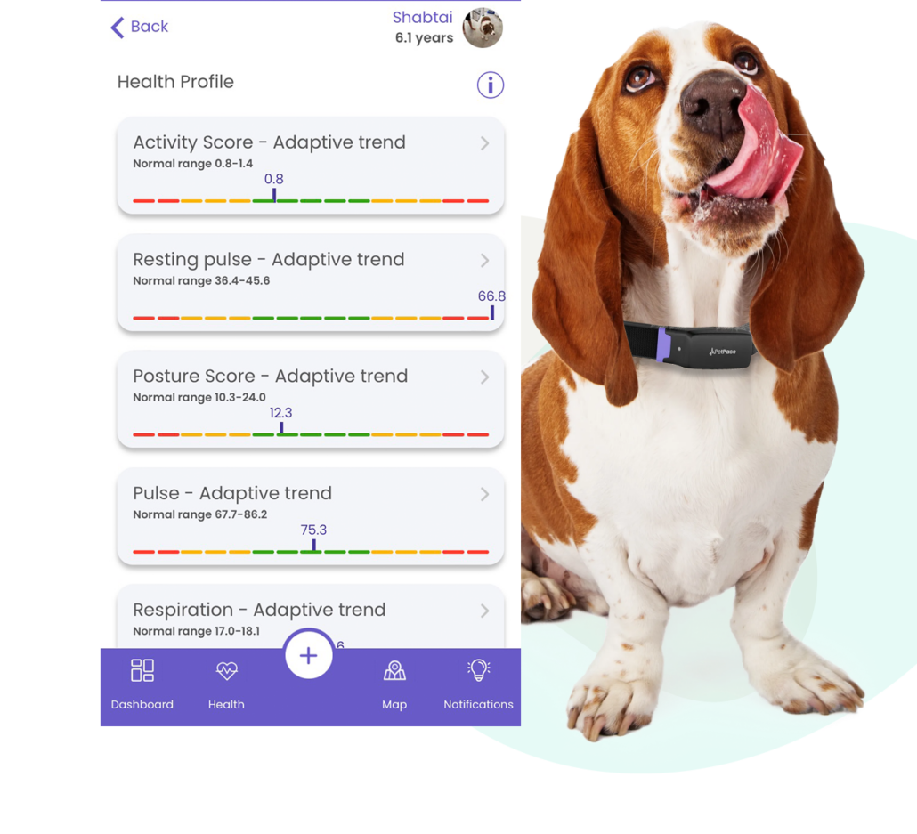 About dog3 copy 2 1 1 Monitor Your Pets Health with PetPace
