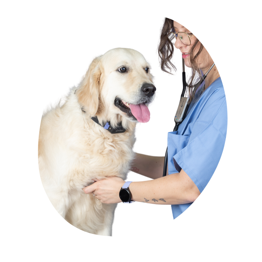 Group 16773 5 1 A Pawsitive Start to 2024: Nurturing Your Dog's Health in the New Year