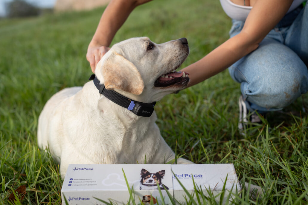 N1I3577 Revolutionizing Canine Health with Vet Visits and PetPace
