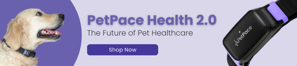 PetPace 2240 x 500 px Revolutionizing Canine Health with Vet Visits and PetPace