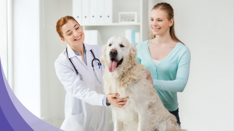 Revolutionizing Canine Health with Vet Visits and PetPace