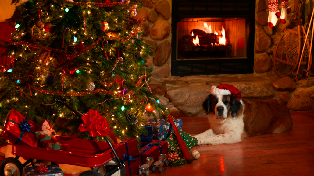 Holiday Paid SocialPetPace Blog Banner 1 Paws and Presents: Navigating the Holiday Season with Your Pup's Well-Being in Mind!