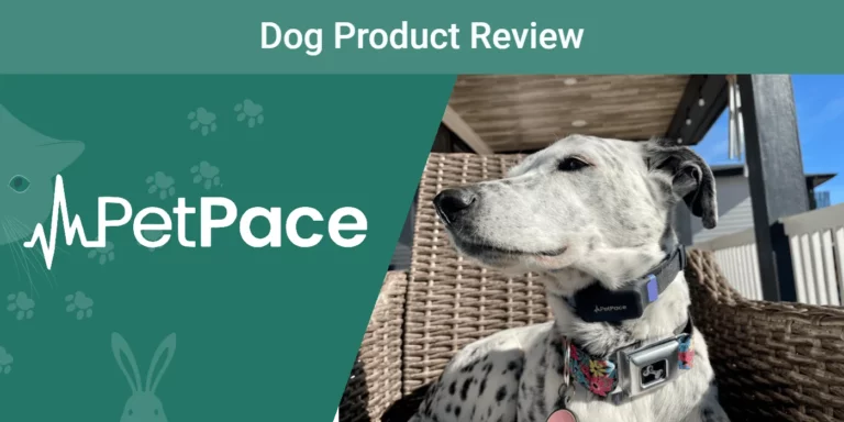 PetKeen: PetPace Dog Collar Review 2023: Our Expert’s Opinion