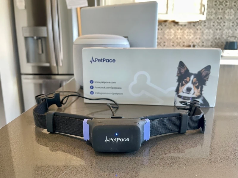PetPace Smart Collar product and the box 1 PetKeen: PetPace Dog Collar Review 2023: Our Expert’s Opinion