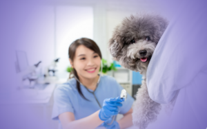 How Often Should I Schedule Veterinary Visits for My Dog? | PetPace