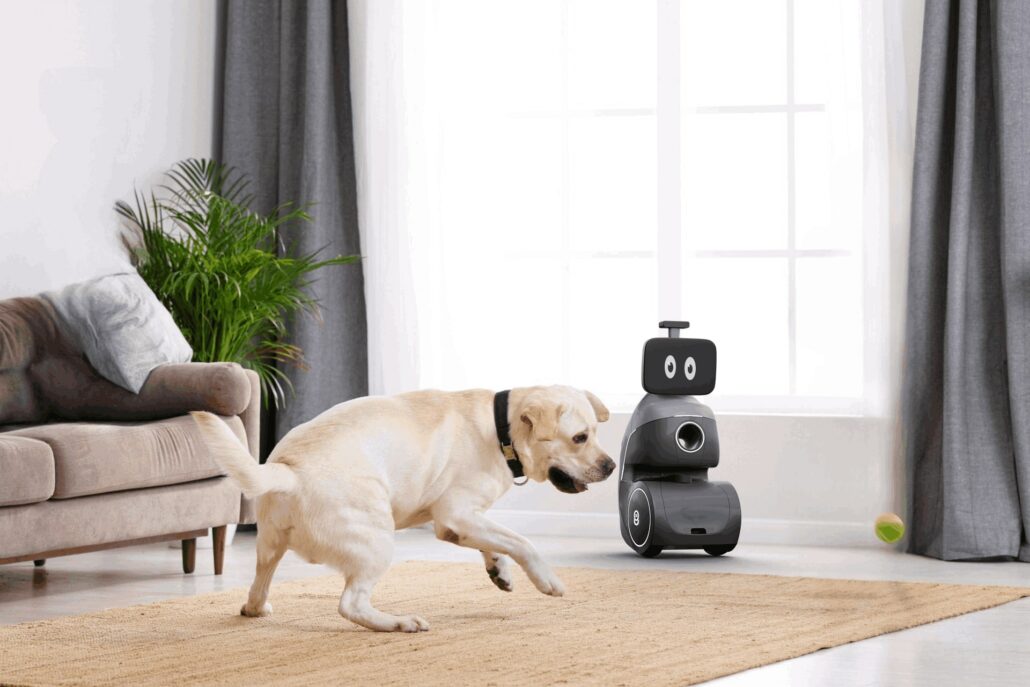 ORo playmate robot ft The Ultimate Guide to Home Pet Monitoring Systems: Keep Your Furry Friend Happy and Healthy!