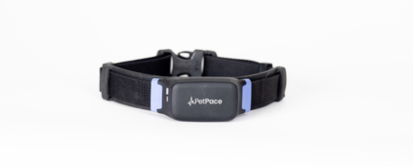 Screenshot 2024 03 05 at 14.23.05 PetPace™ Launches PetPace 2.0, the Only Vet-Grade AI-PoweredCanine Pet Collar Providing Continuous Life-Saving Medical Insights for Vets, Researchers and Pet Owners