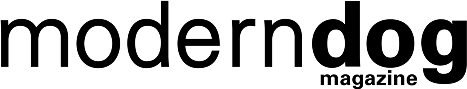 modern dog logo