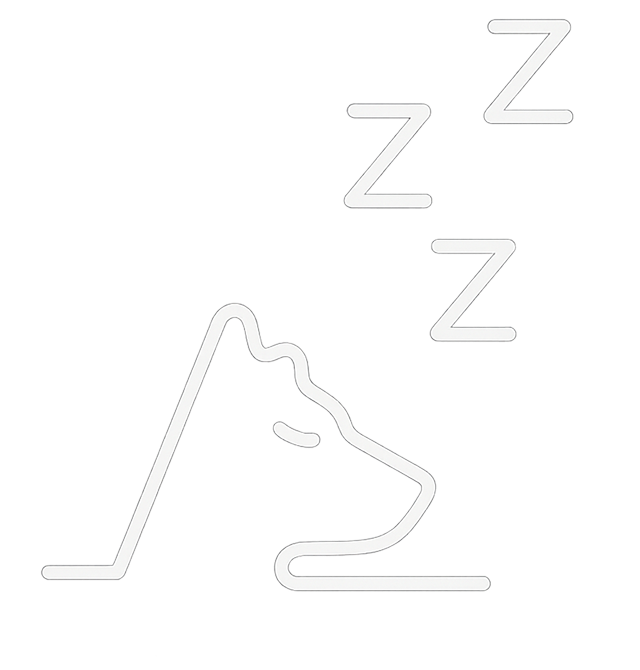 Sleep Pattern Analysis Sleep Pattern Analysis