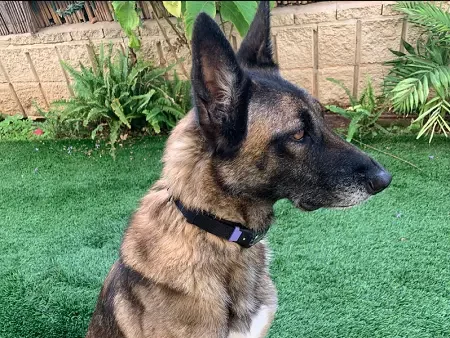 Bette S. July 17, 2023. Bette S. July 17, 2023.