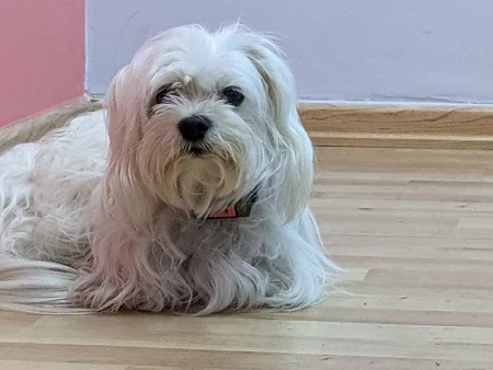 Liz L. July 10, 2023. Liz L. July 10, 2023.