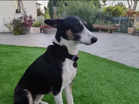 Matt W. August 14, 2023 Matt W. August 14, 2023