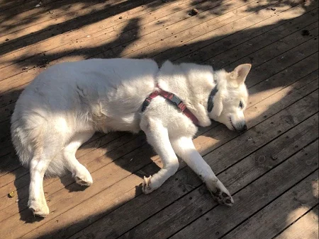 Tara C. July 6, 2023 Tara C. July 6, 2023