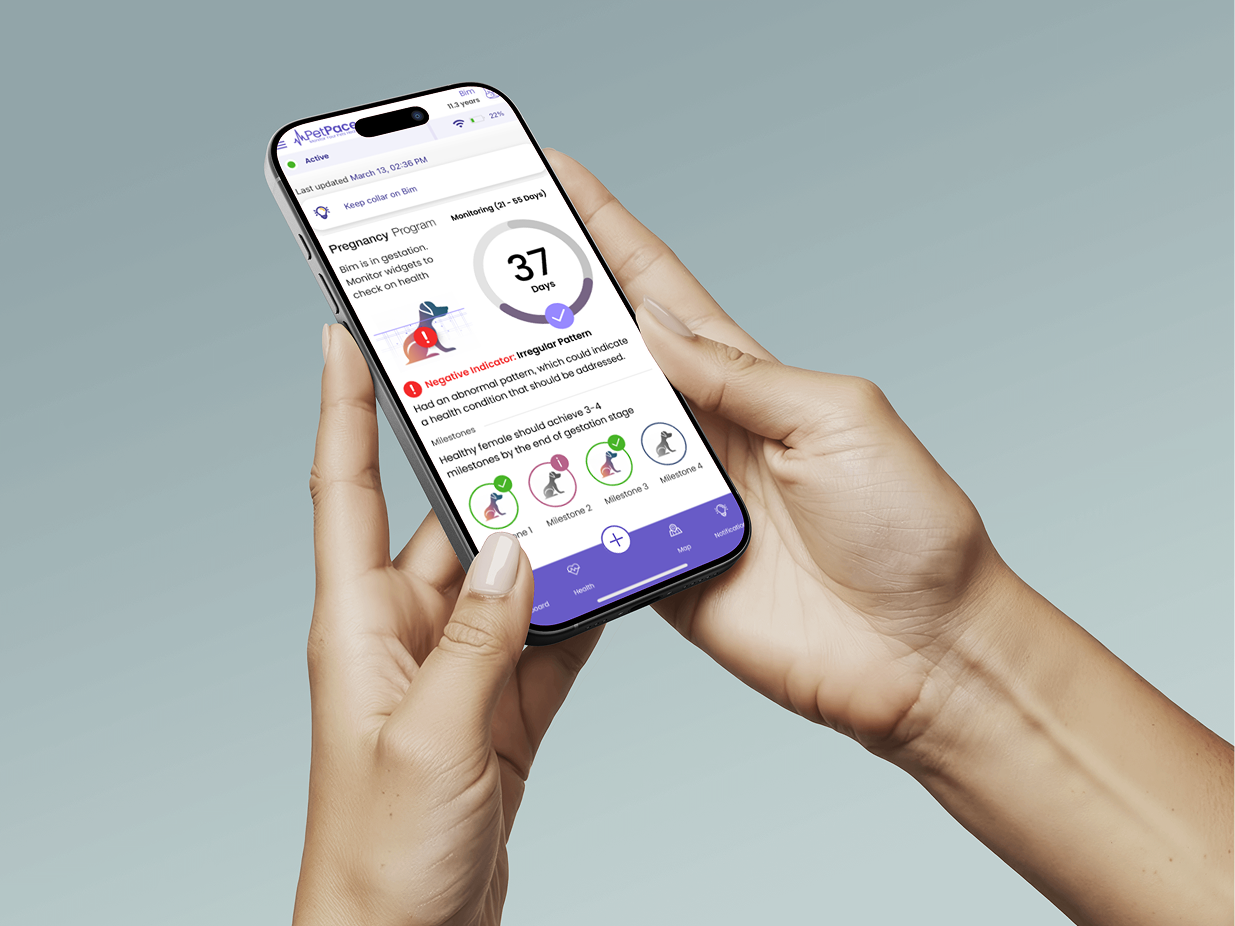 Whelping Predictions Whelping Predictions