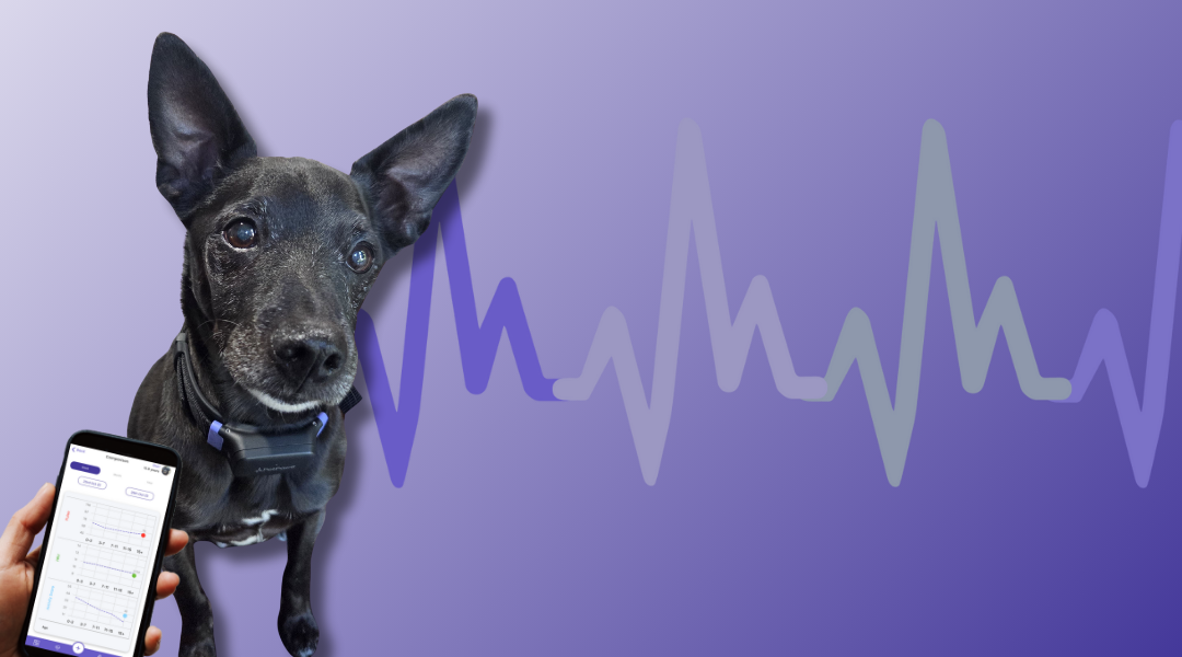 PetPace V3.0: Share With Your Vet