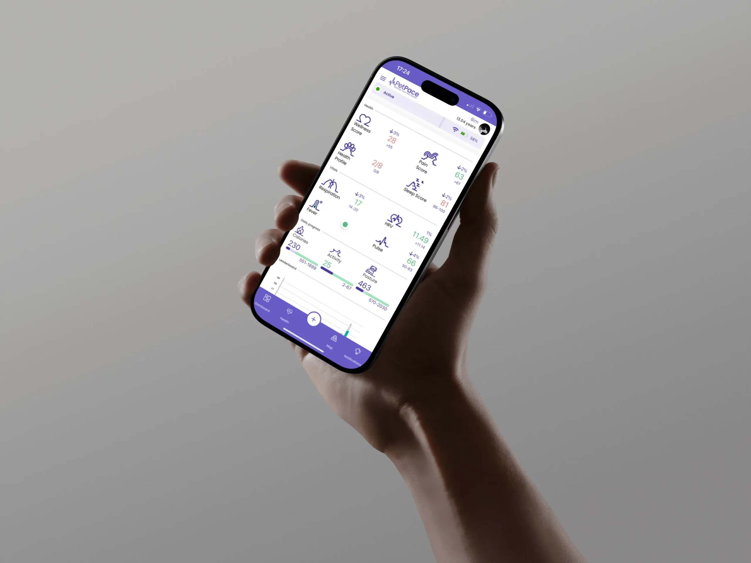 What PetPace Measures