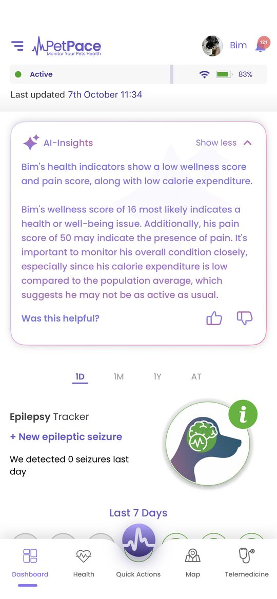 AI-Insights summarizing Bim's health indicators
