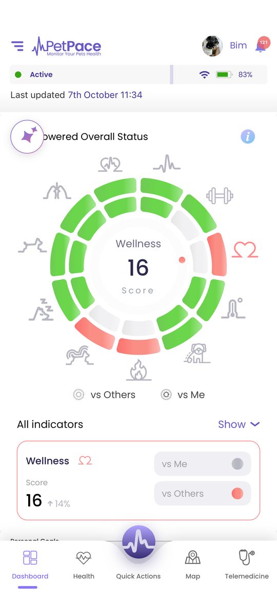 PetPace dashboard with the AI-Powered Overall Status ring