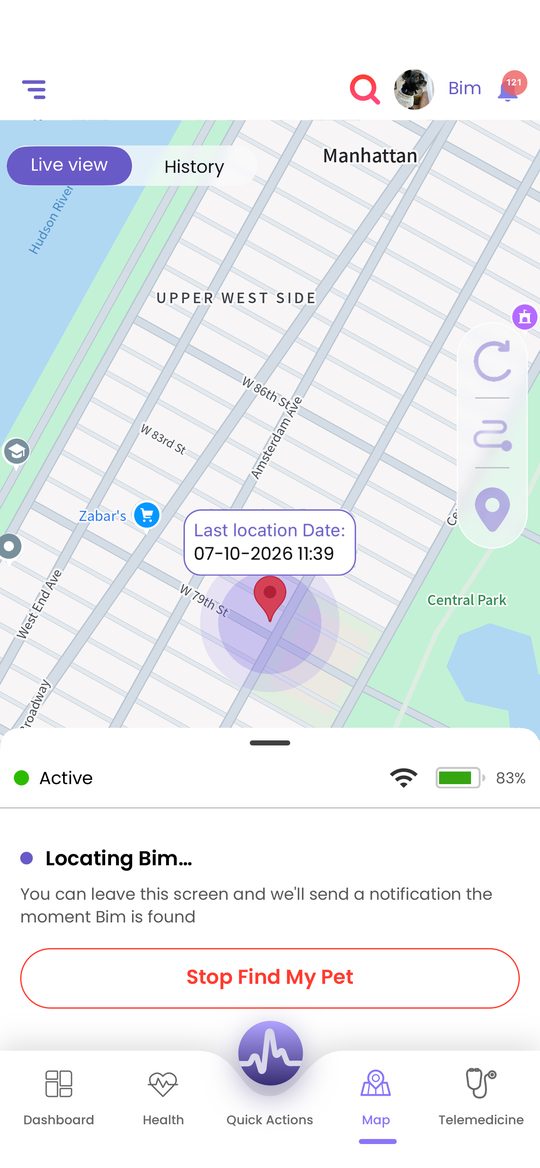 Find My Pet locating Bim on a map of New York